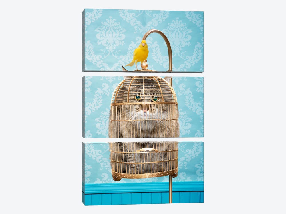 Caged Cat by Lund Roeser 3-piece Canvas Artwork