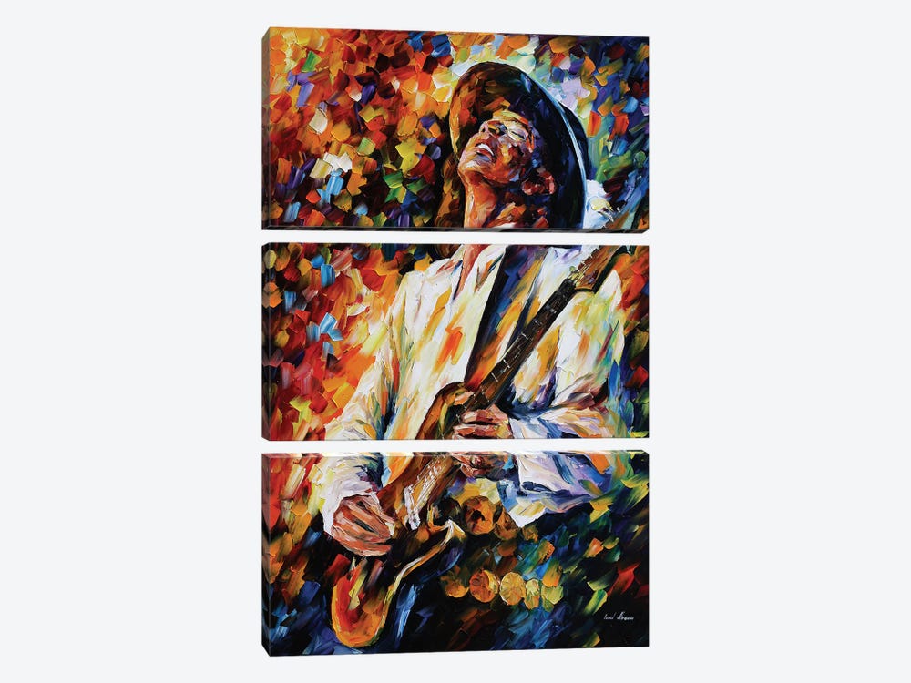 Stevie Ray Vaughn by Leonid Afremov 3-piece Canvas Wall Art
