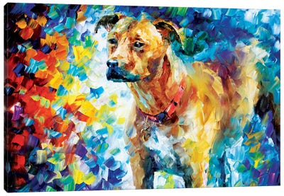 Dog III Canvas Art Print - Pit Bull Art