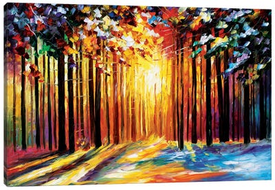 Sun Of January Canvas Art Print - Forest Art