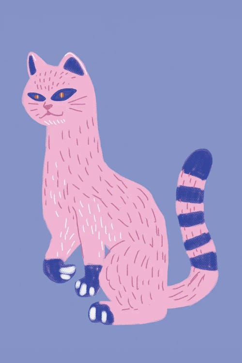 Pink Blue Cat