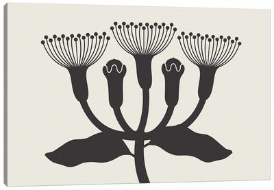 Plant Minimal Canvas Art Print - All Things Matisse