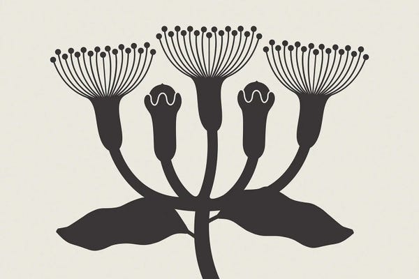 Large Modern Art - Canvas Prints: Plant Minimal by Little Dean