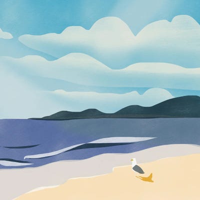 Seagull Sun Bathing by Little Dean art print