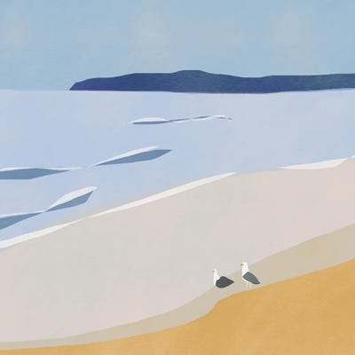 Seagulls At The Beach by Little Dean art print