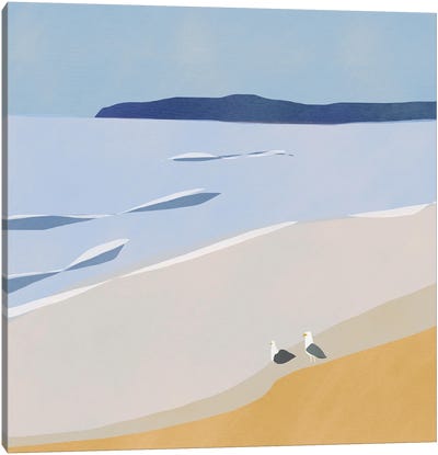 Seagulls At The Beach Canvas Art Print - Little Dean