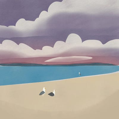 Three Seagulls by Little Dean art print