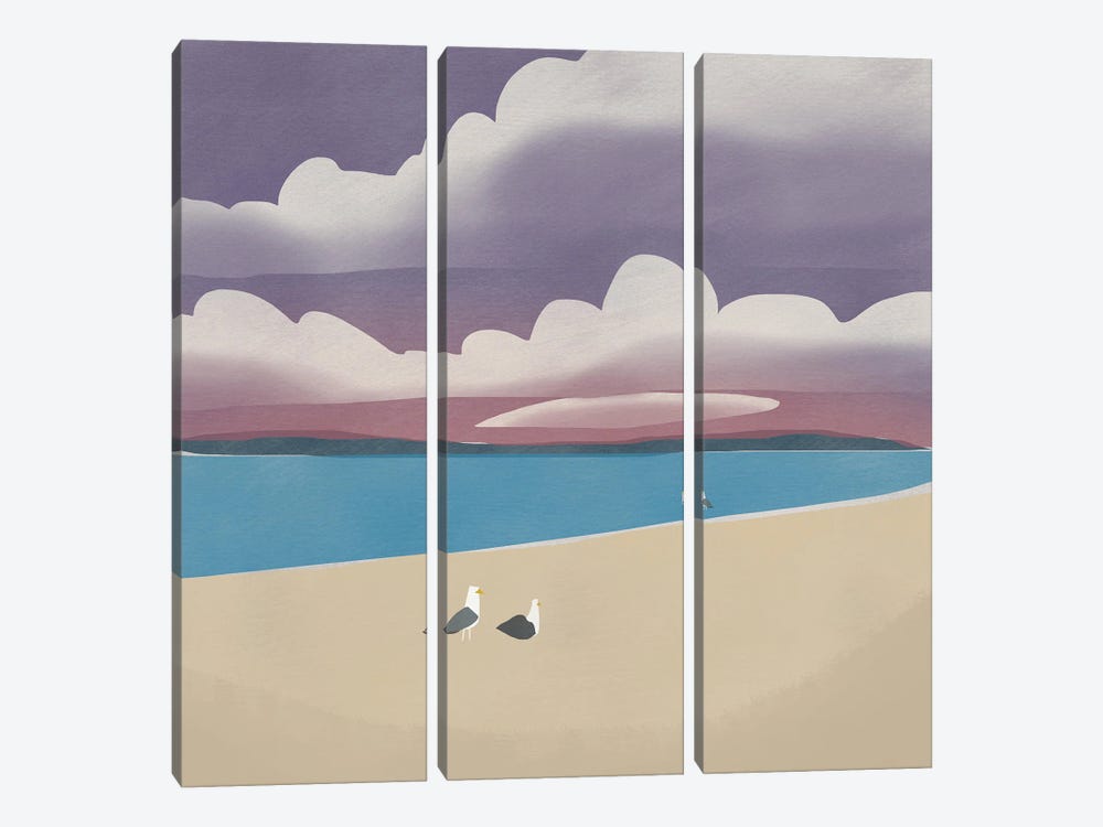Three Seagulls by Little Dean 3-piece Canvas Artwork