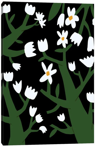 Tiny White Blossom Canvas Art Print - Little Dean