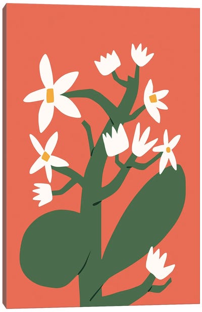 White Blossom In Red Canvas Art Print - All Things Matisse