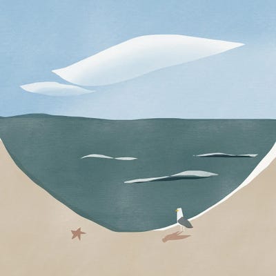 Beach Curve And Seagull by Little Dean art print