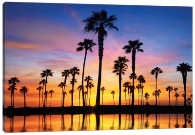Prelude Canvas Art Print - Beach Sunrise & Sunset Art