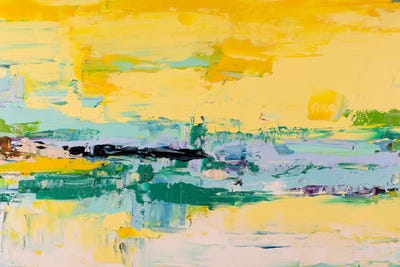 Maui Rays Of Sun by Shalimar Legaspi framed wall art