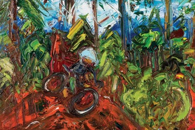 Mt Mitchell Off-Road by Shalimar Legaspi framed wall art