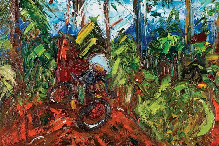 Mt Mitchell Off-Road by Shalimar Legaspi wall art