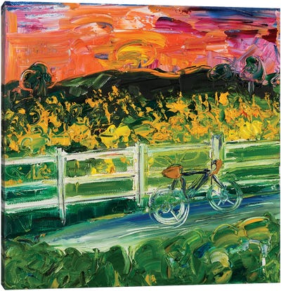 Sunset On Neuse River Trail Canvas Art Print