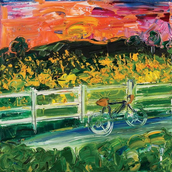 Shalimar Legaspi: Sunset On Neuse River Trail by Shalimar Legaspi