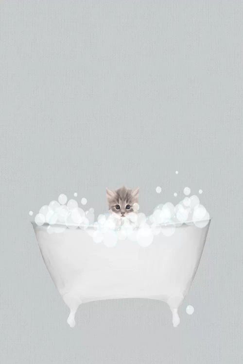 Kitten Blue Bath