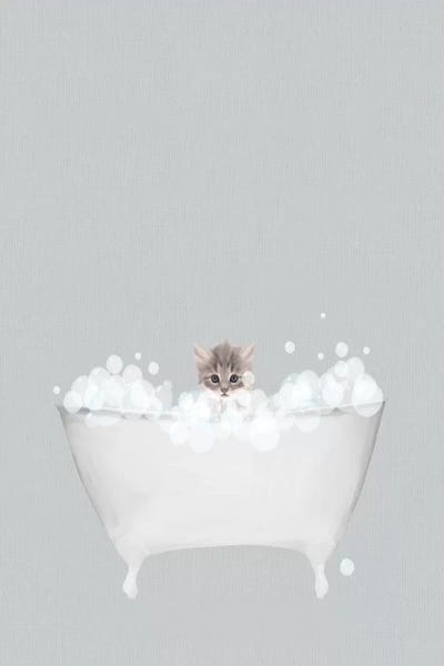 Kitten Blue Bath