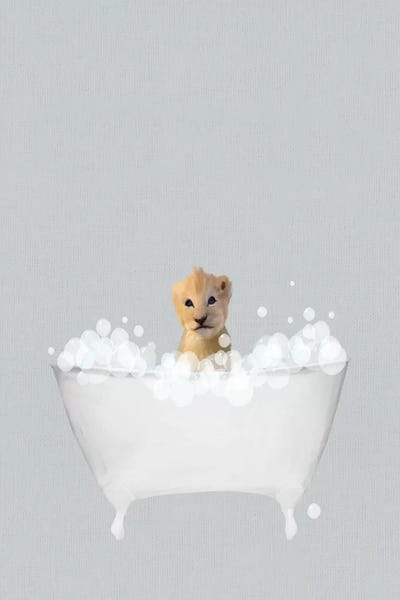 Lion Blue Bath