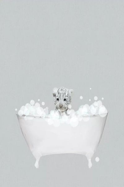 Tigers: White Tiger Blue Bath by Leah Straatsma