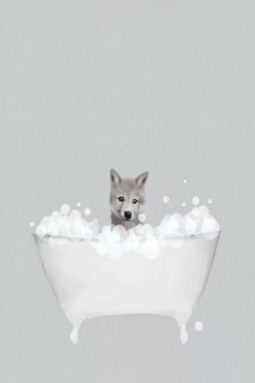 Wolf Blue Bath