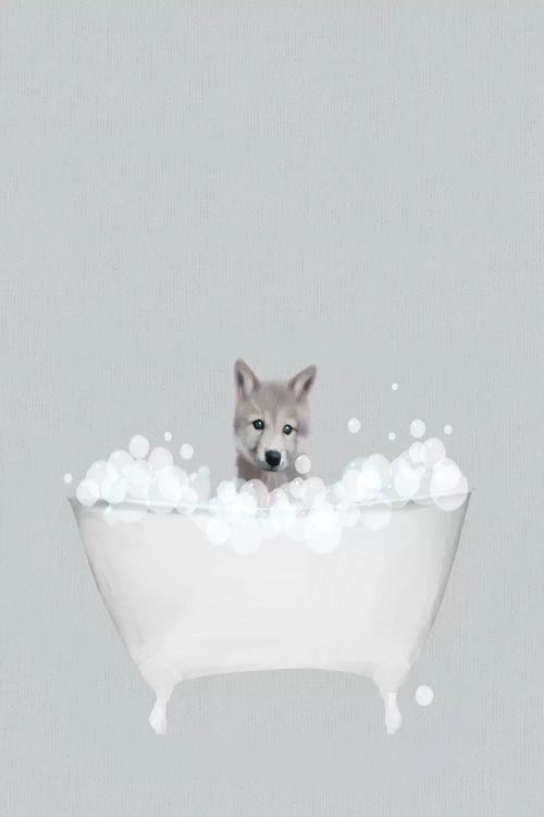 Wolf Blue Bath