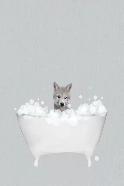 Wolf Blue Bath