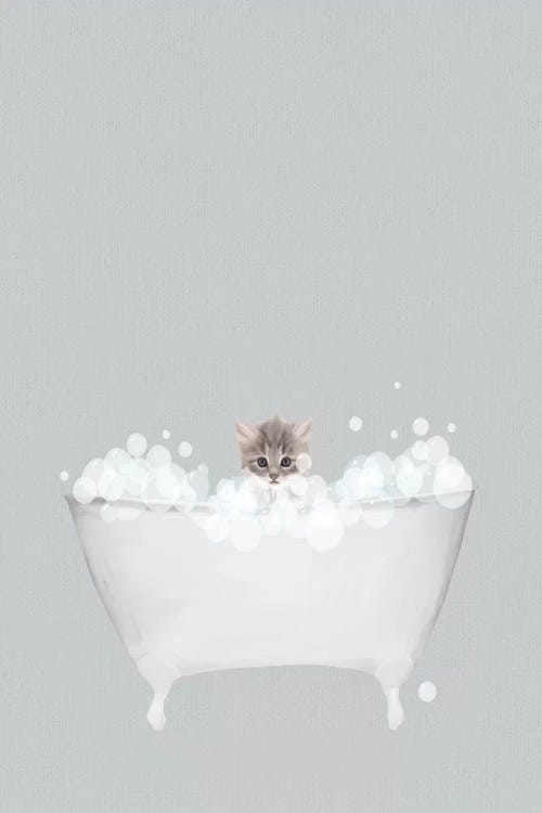 Kitten Blue Bath