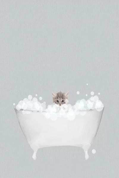 Kittens: Kitten Blue Bath by Leah Straatsma