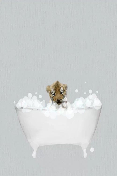 Tiger Blue Bath