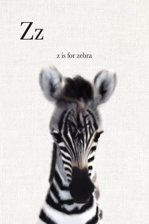 Baby Zebra Linen