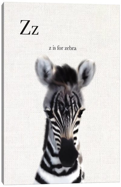 Baby Zebra Linen Canvas Art Print - Alphabet Art