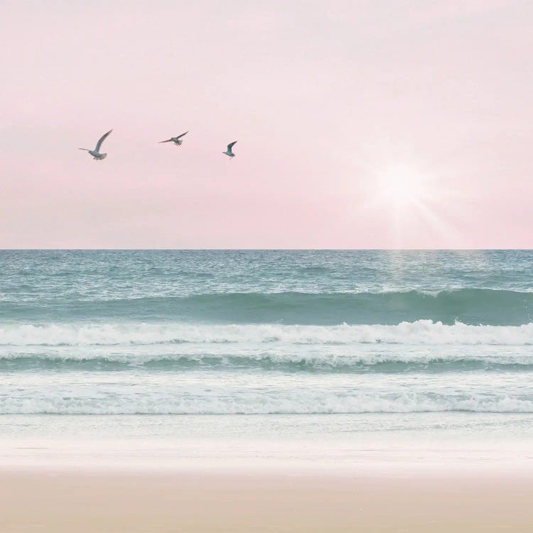 Pinky Beach With Birds II