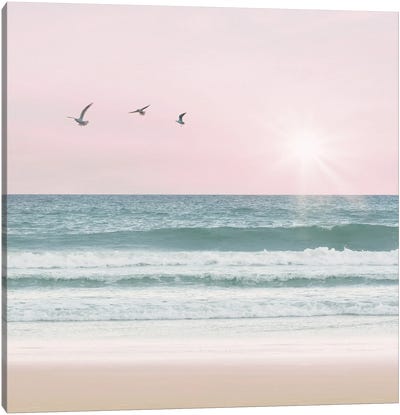 Pinky Beach With Birds II Canvas Art Print - Leah Straatsma