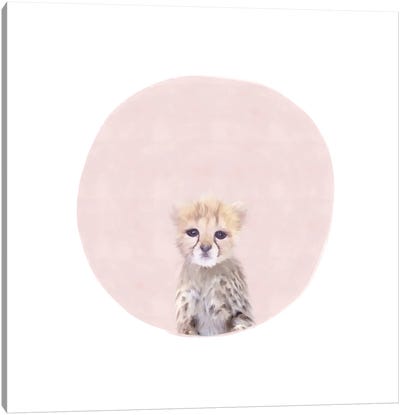 Baby Cheetah Pink Canvas Art Print - Cheetah Art