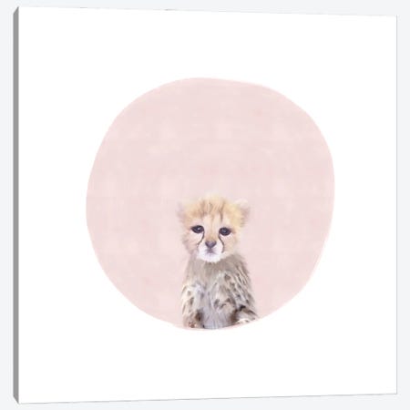 Baby Cheetah Pink Canvas Print #LEH283} by Leah Straatsma Art Print