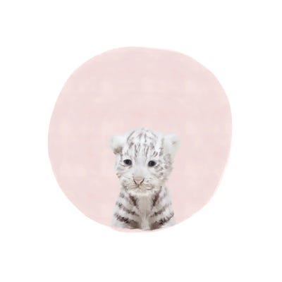 Baby White Tiger Pink by Leah Straatsma framed canvas print