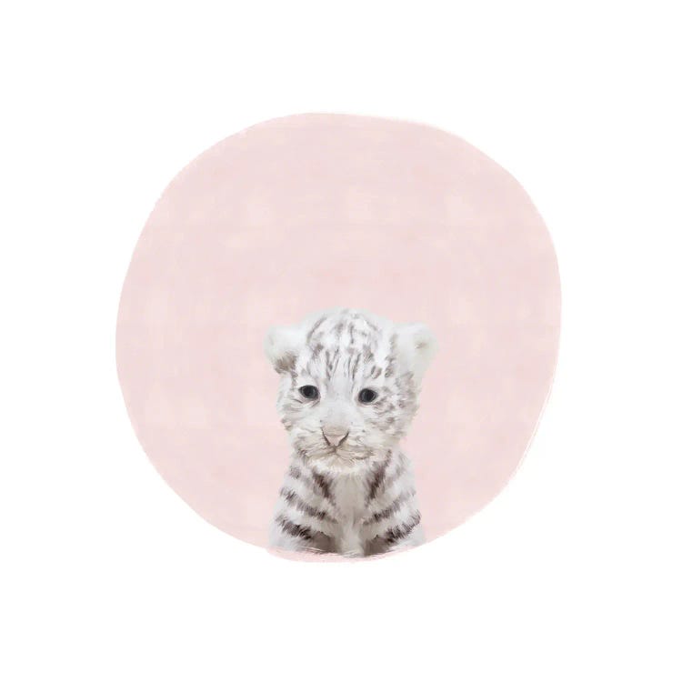 Baby White Tiger Pink