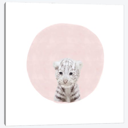 Baby White Tiger Pink Canvas Print #LEH285} by Leah Straatsma Canvas Artwork