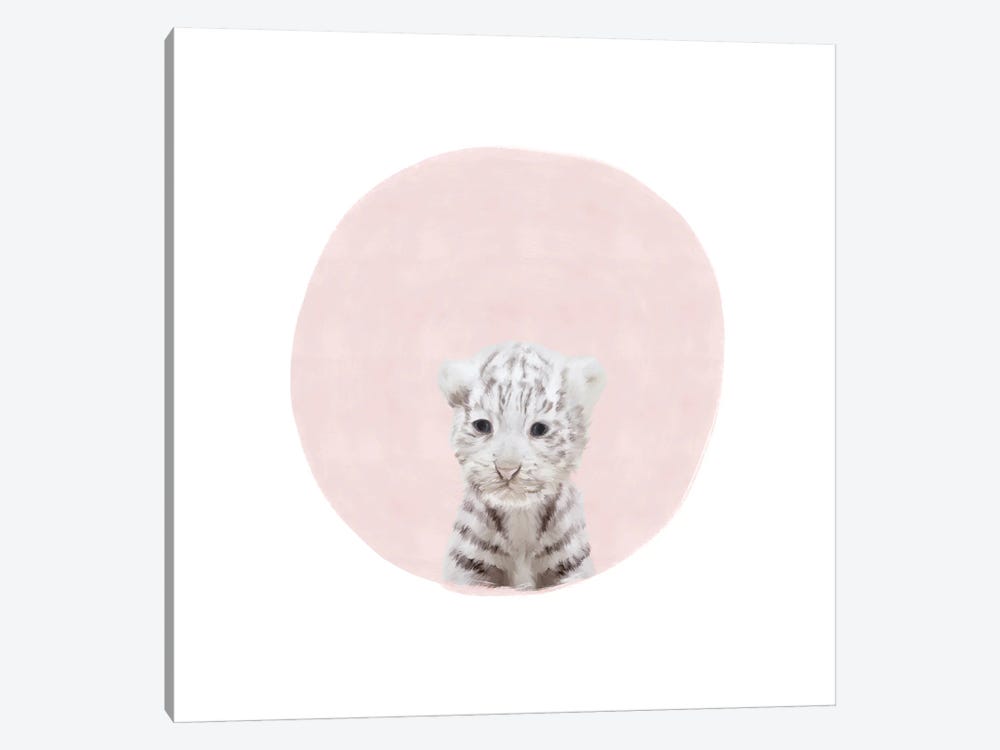 Baby White Tiger Pink by Leah Straatsma 1-piece Art Print
