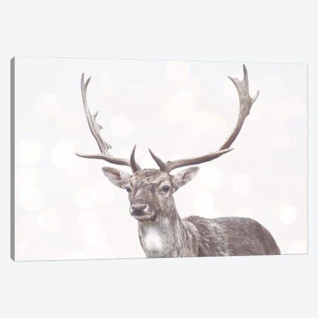 Boken Deer Canvas Print #LEH287} by Leah Straatsma Canvas Art
