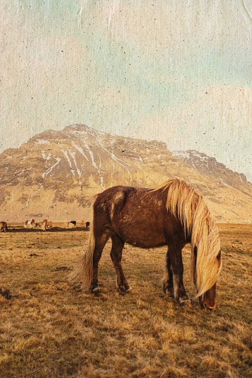 Home On The Range