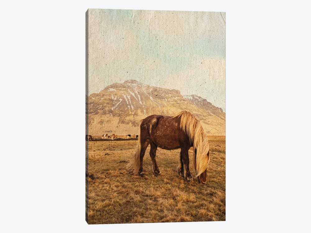 Home On The Range by Leah Straatsma 1-piece Canvas Artwork