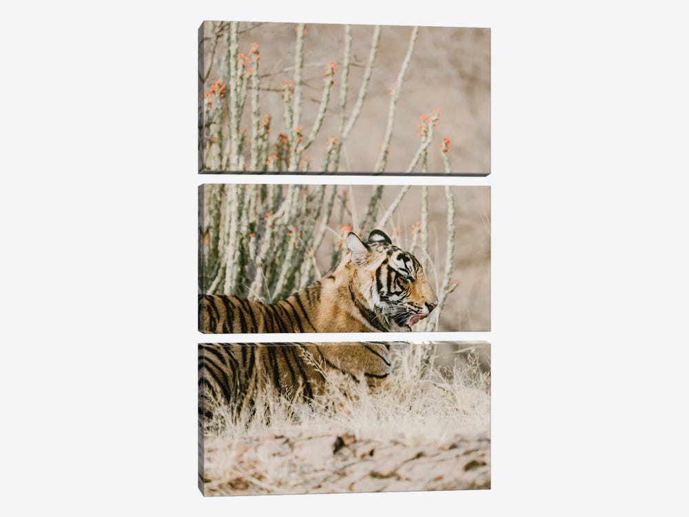 Tiger With Red Florals by Leah Straatsma 3-piece Canvas Artwork