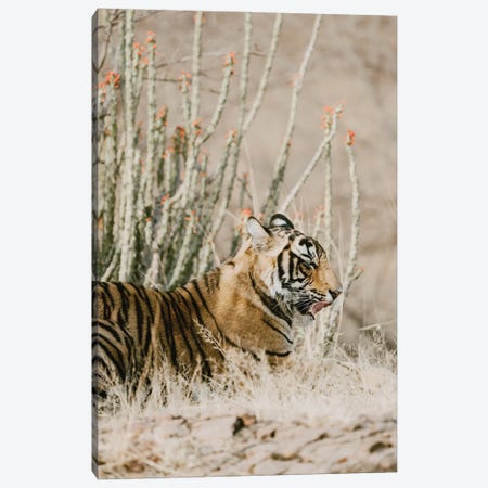 Tiger With Red Florals Canvas Print #LEH305} by Leah Straatsma Canvas Print