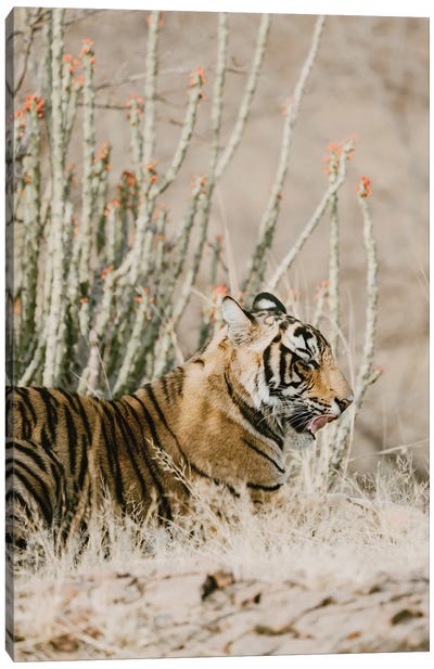 Tiger With Red Florals Canvas Art Print - Leah Straatsma