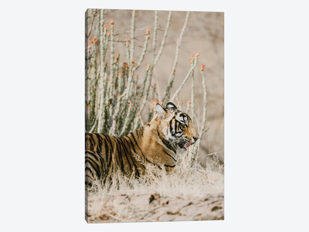 Tiger With Red Florals by Leah Straatsma 1-piece Canvas Artwork