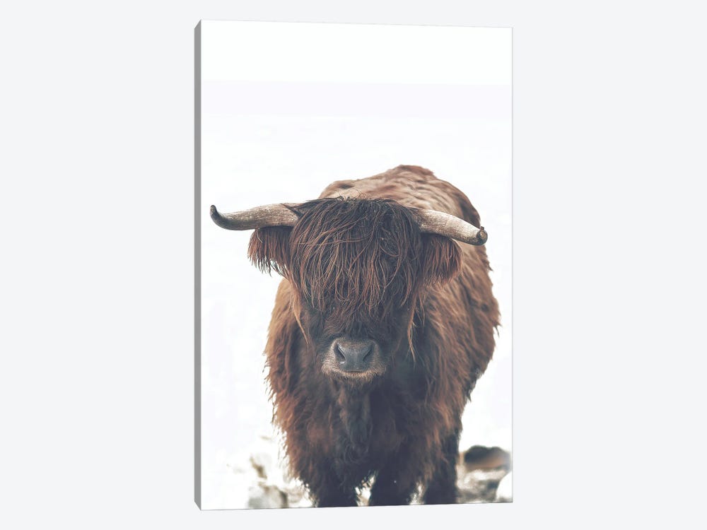 Winter Highland Cow by Leah Straatsma 1-piece Canvas Art Print