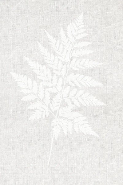Fern by Leah Straatsma canvas print